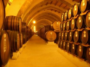 Wine barrels in Marsala