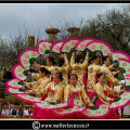 Blossom almond tree festival agrigento