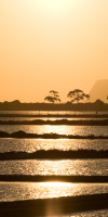 Marsala salt pans