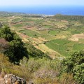 The cultivated plain of Ghirlanda in Pantelleria