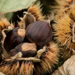 castagne